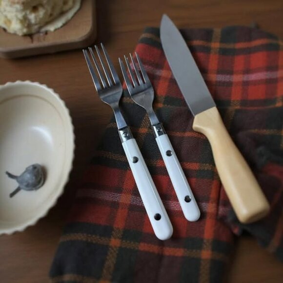 Vintage White Plastic Handle Flatware Set – 14 Pc Stainless Steel Rustic Cabin C - Picture 9 of 12